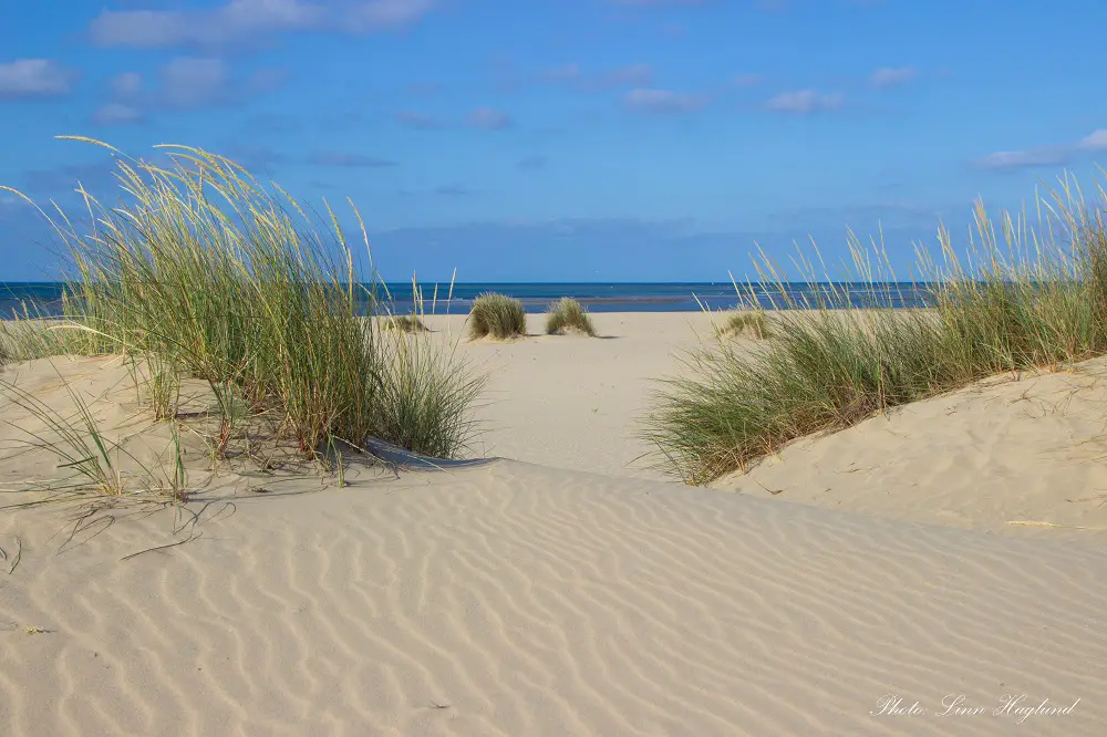 Beaches southern Spain - La Bota beach