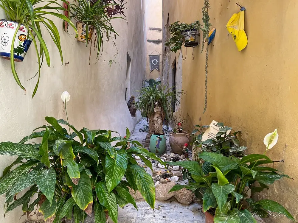 a narrow alley full of gnomes and plants