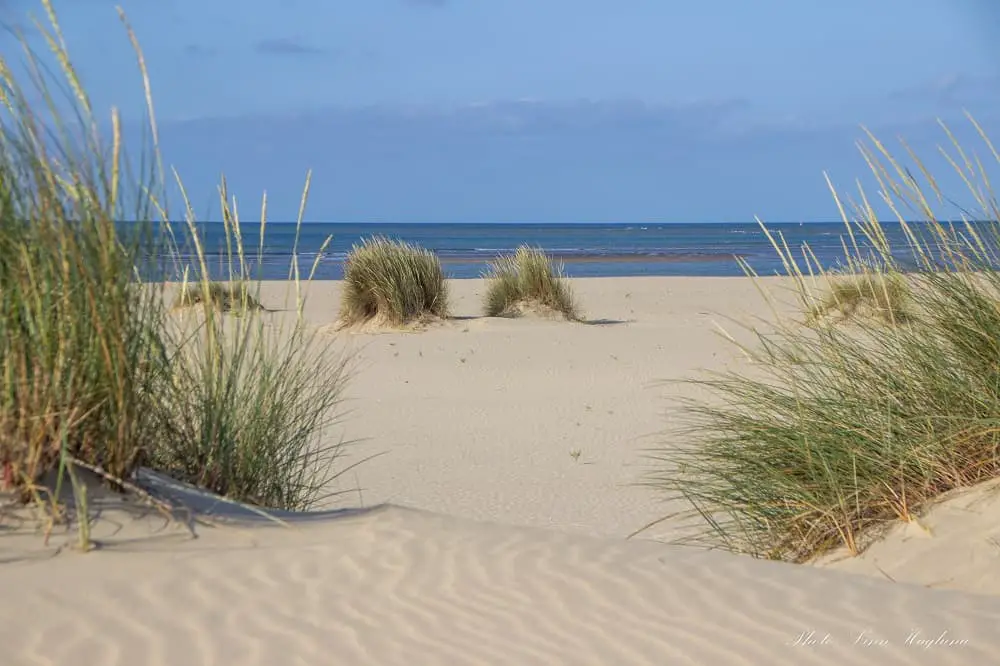 Beach Huelva - La Bota