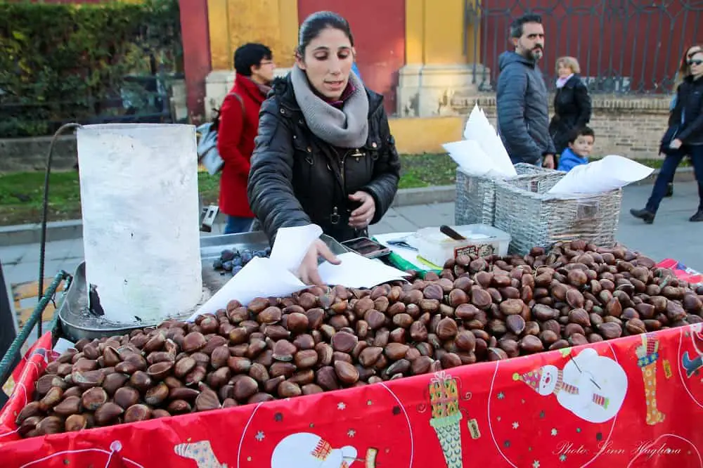 Chestnuts in Seville in winter