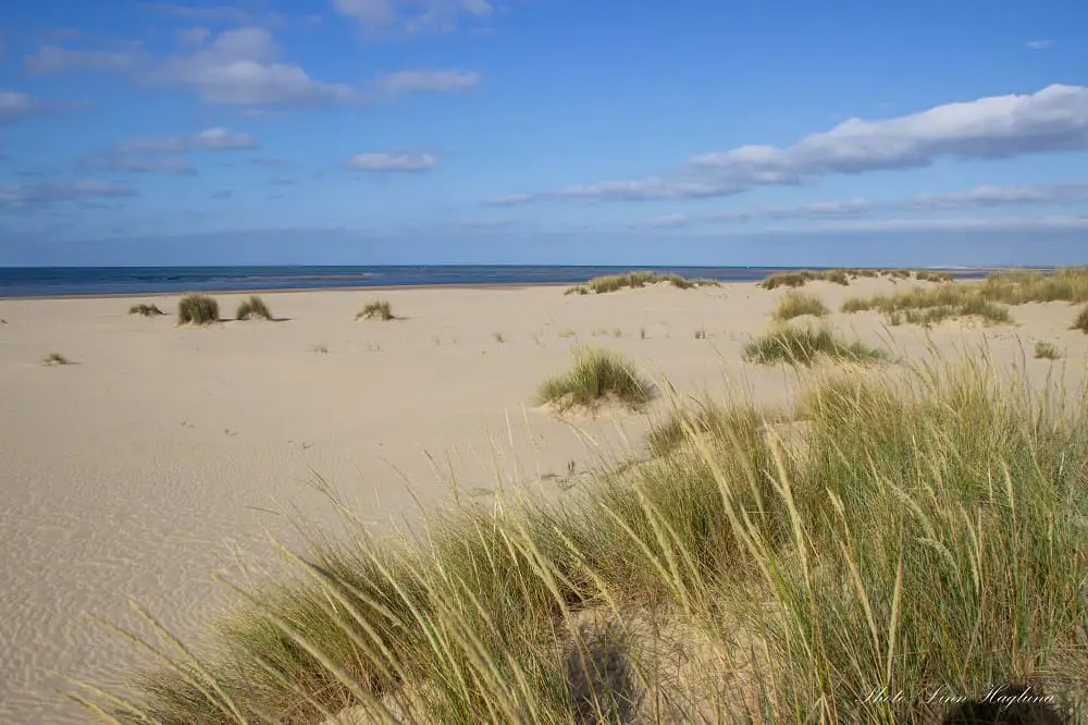 Huelva beaches - La Bota beach