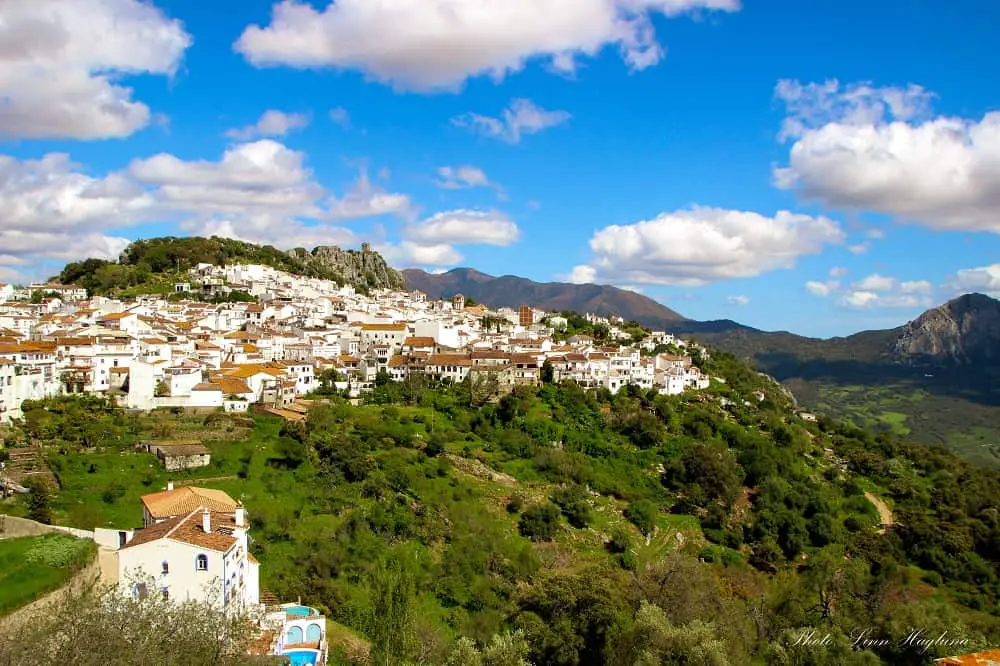 Fuengirola day trip - Gaucin