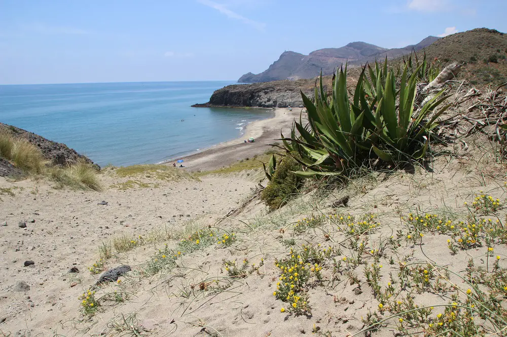 Beach Almeria - El Barronal