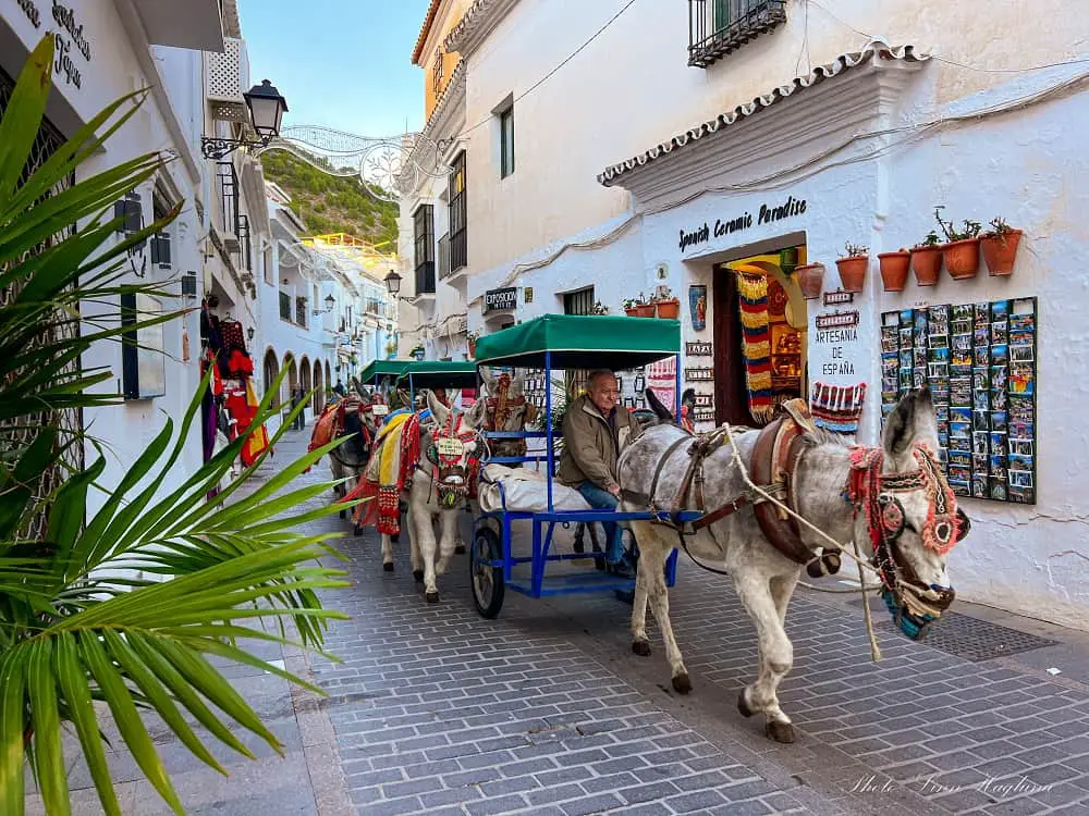 Donkey in Mijas Pueblo