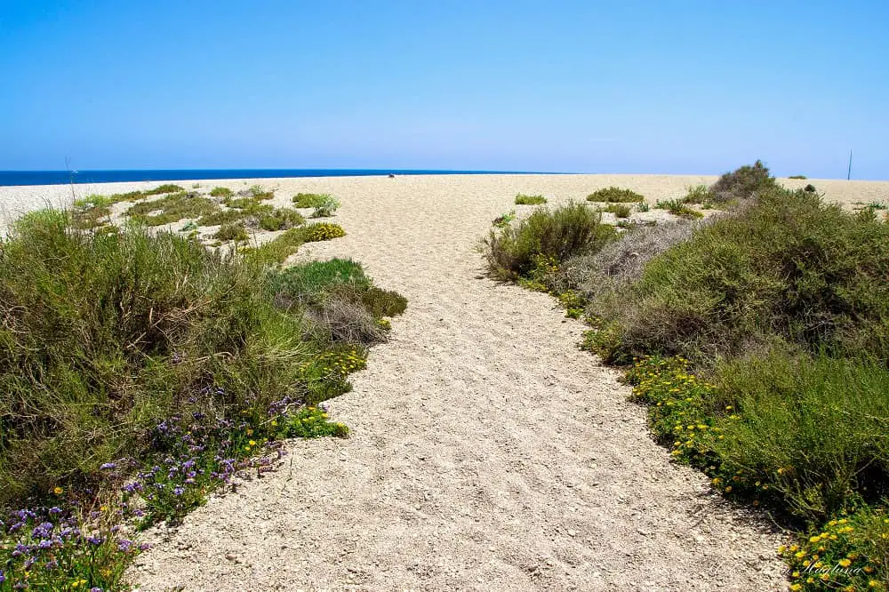 Los Muertos Beach Spain