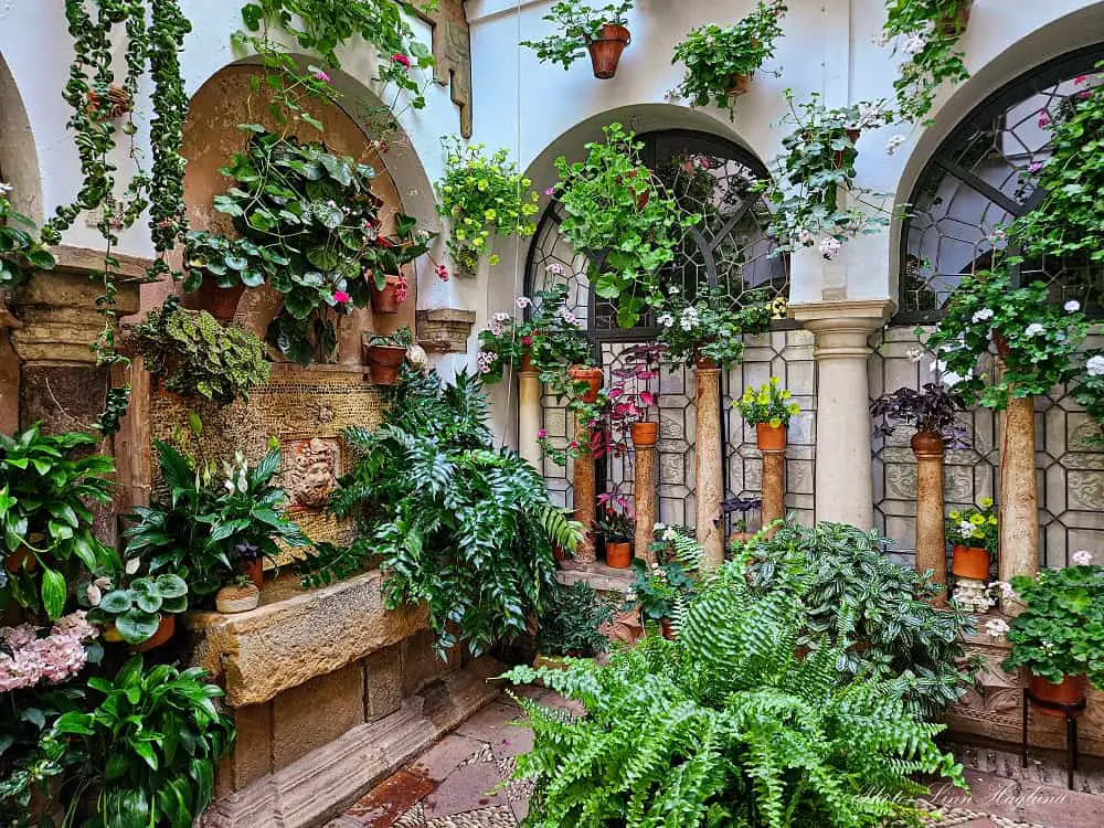 patio tour in Cordoba