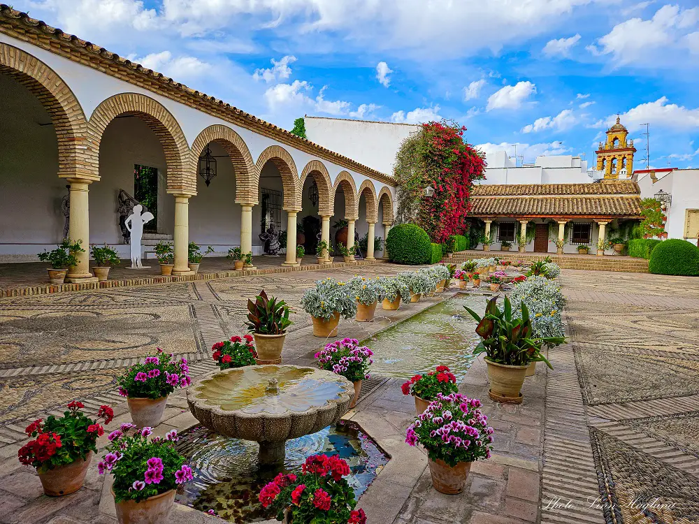 Viana Palace patio