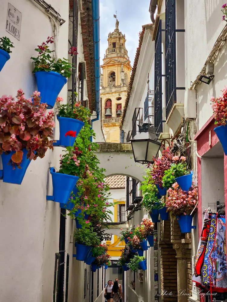 best things to do in Cordoba Spain - Calleja de las Flores