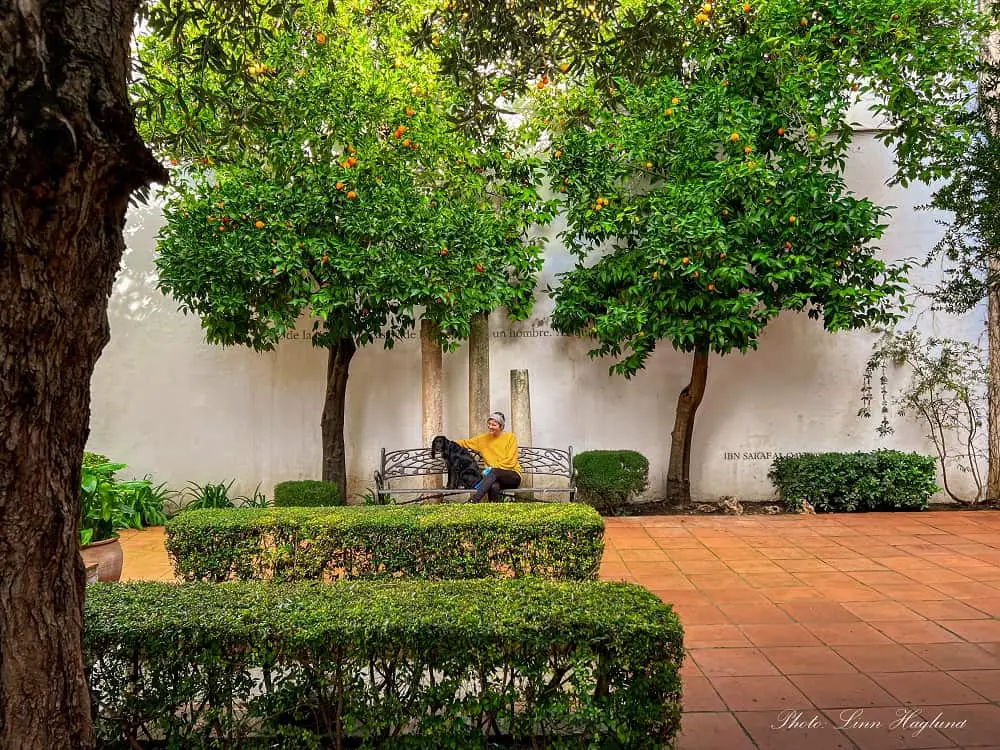 Me and my dog in a lovely patio with orange trees which is one of the wonderful things to see in Ronda Spain