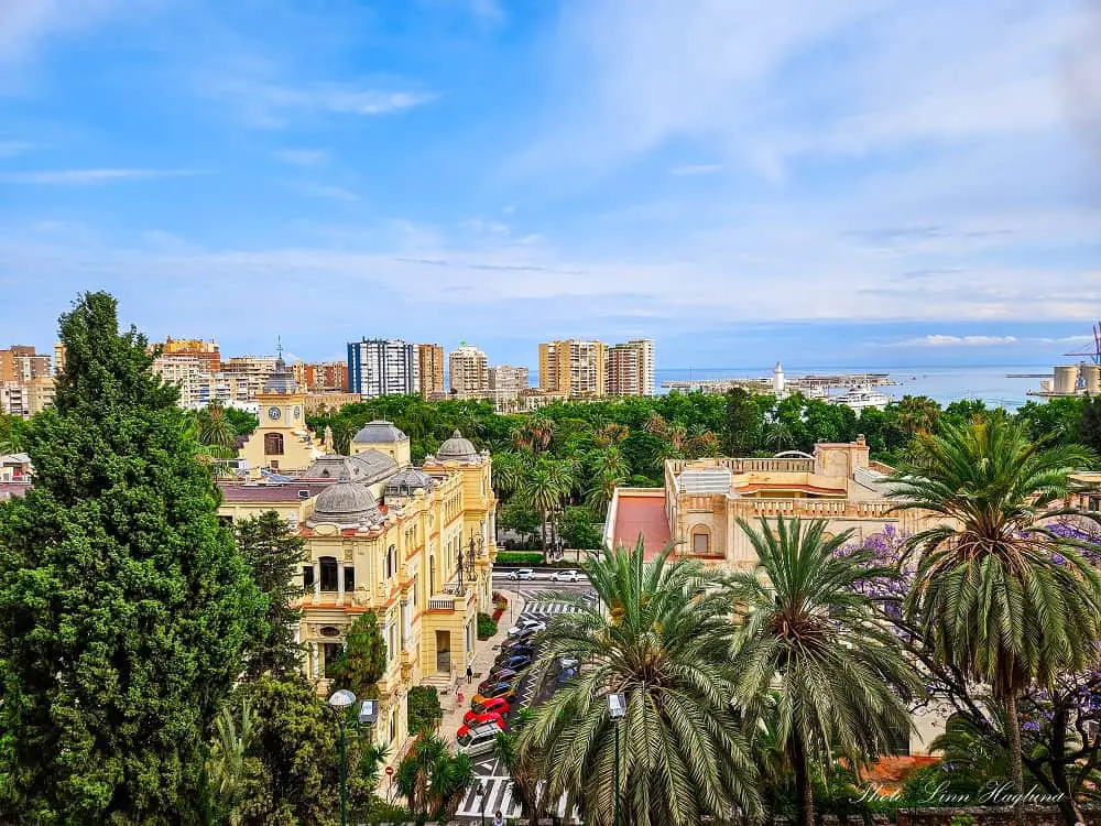 Views of Malaga with palm trees and building leading to the coast.