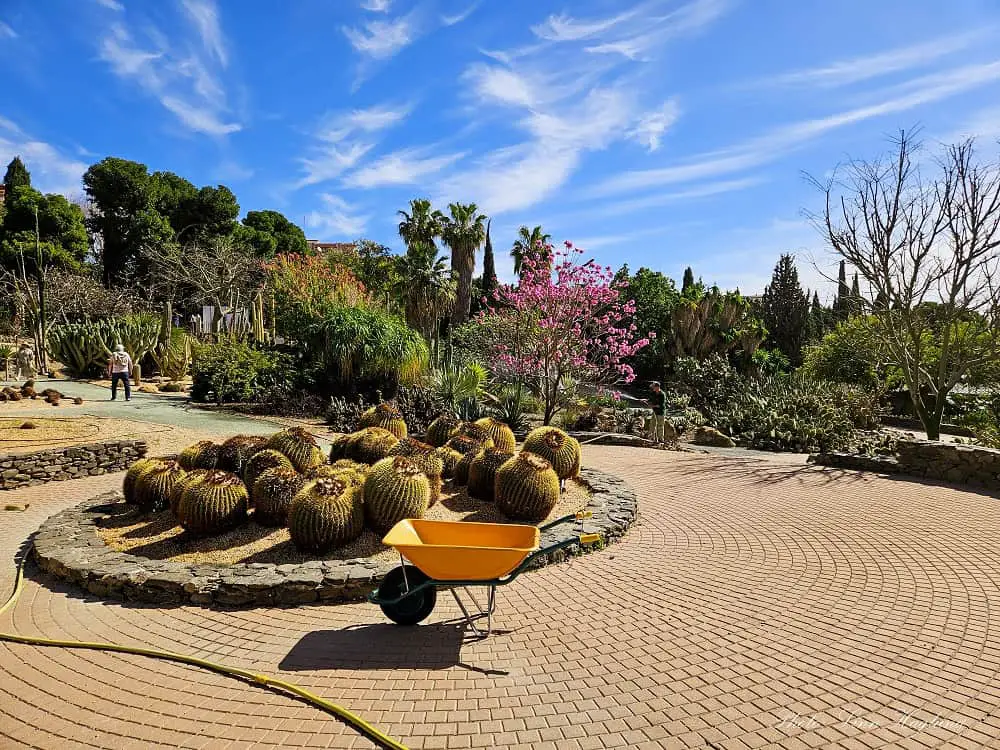 Cactus and flowers on a sunny day in Paloma Park is why visit Benalmadena.
