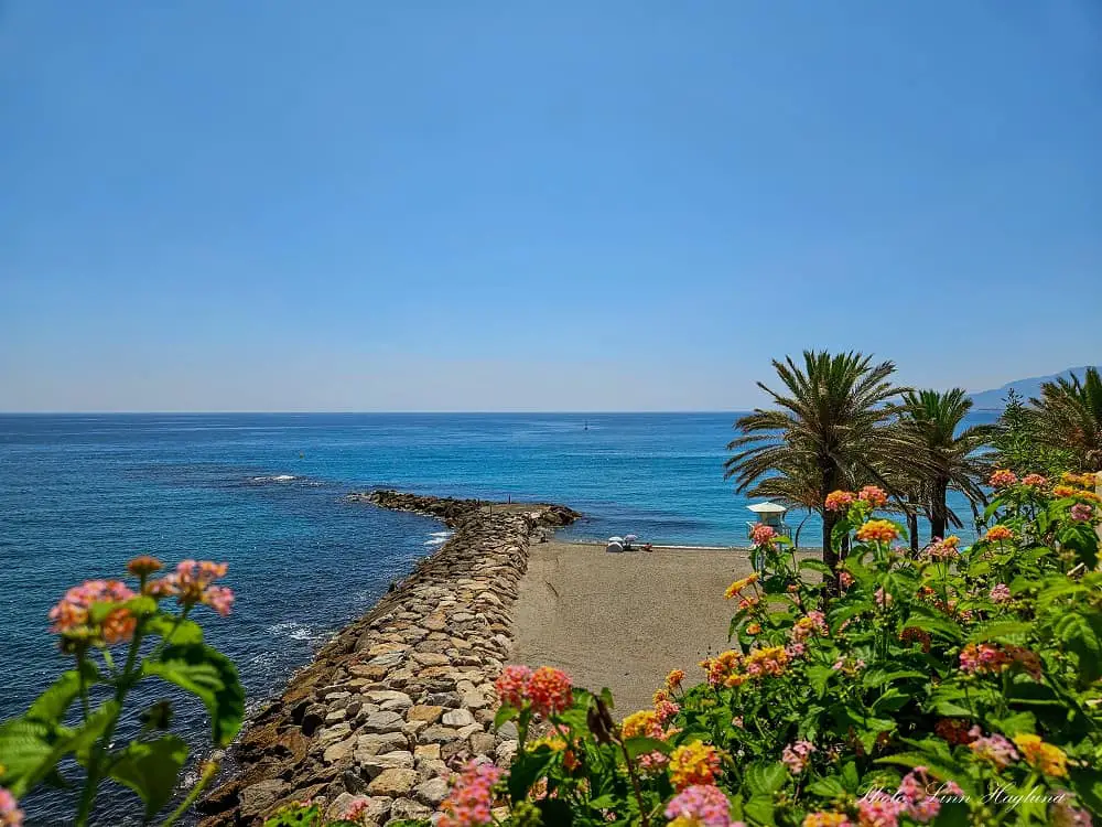 Colorful flowers in the foreground of beauftiful views of Torrenueva Granada beach.