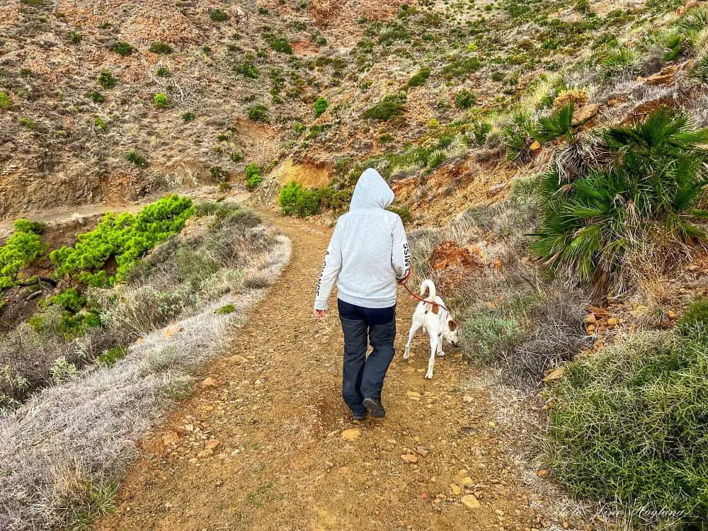 me walking a white and brown dog on a dirt path - definitely among the best things to do Costa del Sol