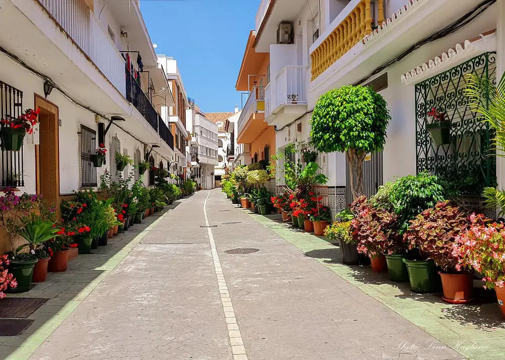 Street full of potplants in La Cala de Mijas Spain.