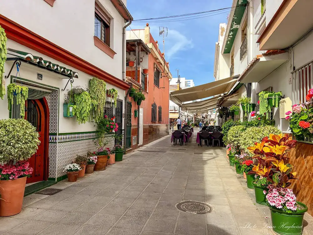 Charming town center with flowers and potplants that you can see in One day in La Cala de Mijas.