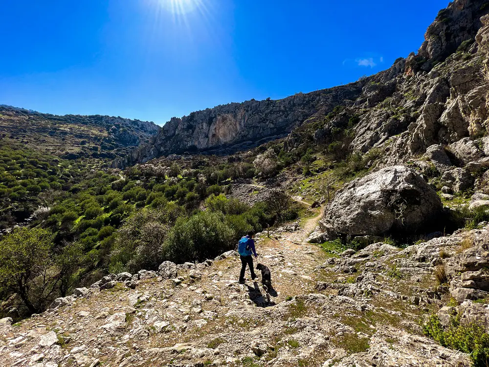 Me and my dog hiking through Cañon del Rio Bailón on a sunny day.