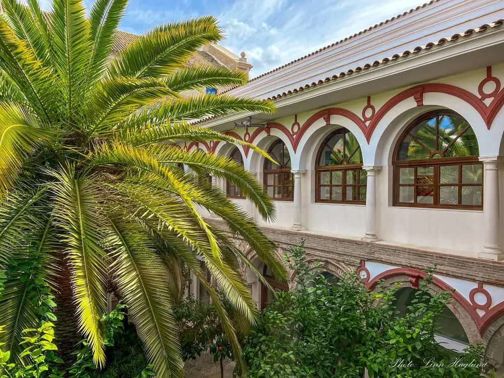 Palm trees in the courtyard of Casa de los Mora Lucena Spain.