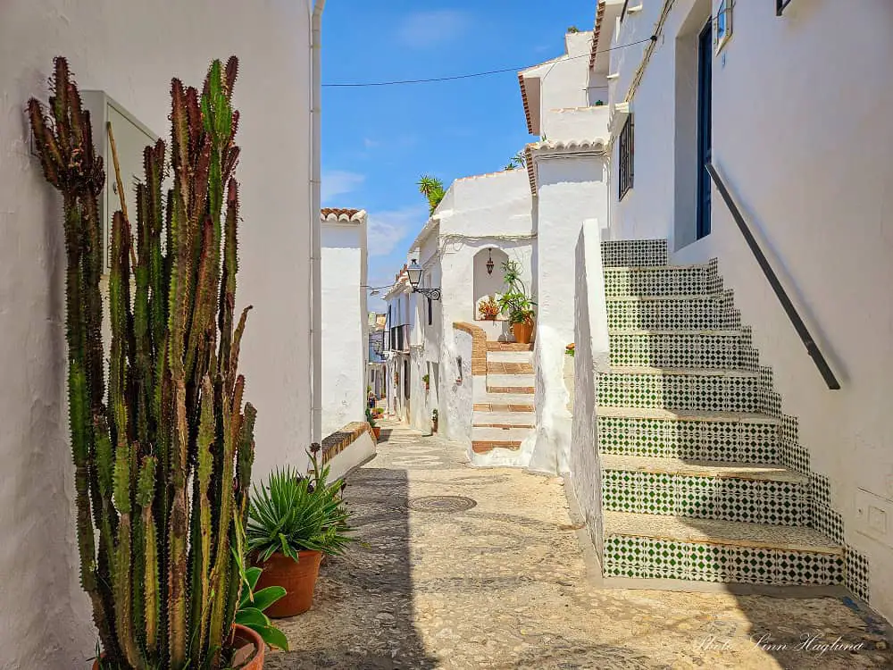 Street in Frigiliana with a large cactus on the side of the wall and cobbled streets.